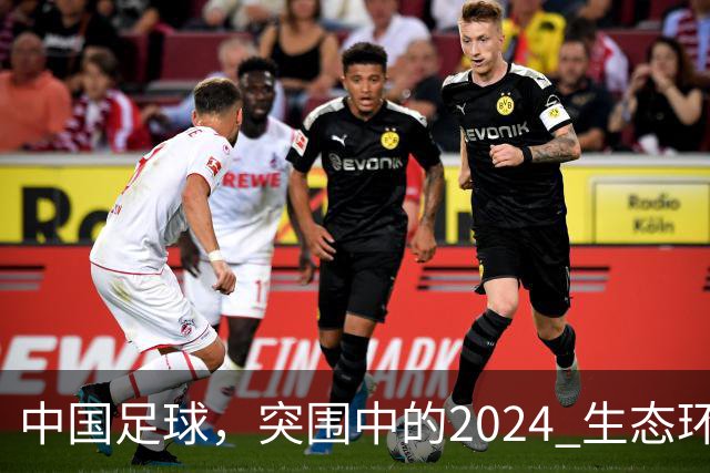 中国足球，突围中的2024 生态环境将实现好转