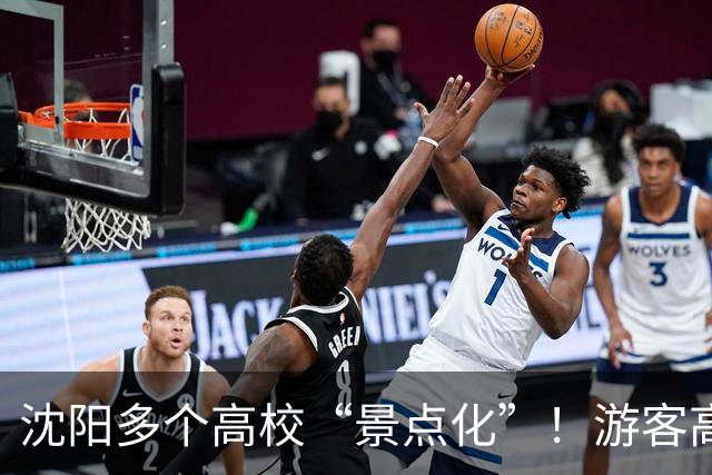 沈阳多个高校“景点化”！游客高兴，学生却懵了...
