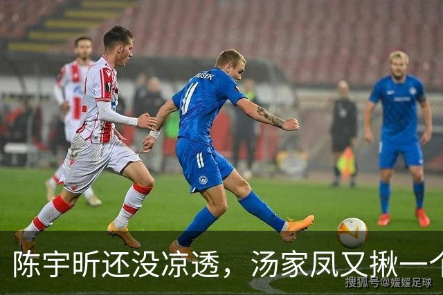 陈宇昕还没凉透，汤家凤又揪一个“精日”人员：竟然还是公司老板